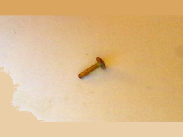 Taillight Cap Tapping Screw 4x16 Honda TRX400FA