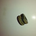 Headlight Mounting Rubber